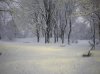 20090106_Parco_Lambro_foto05.jpg