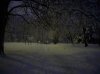 20090106_Parco_Lambro_foto09.jpg