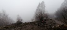 IMG_20230102_130302.jpg