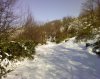 PIC-0117.jpg