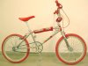 mongoose_copy6_lg.jpg