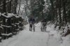DSC_4335.jpg