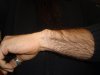 DSC00640.jpg