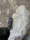 6DC273D0-6129-46A5-9866-70E86E03C5C4.jpeg