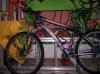 100_5416.jpg