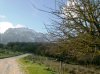 FICUZZA 31-01-2009 028.jpg