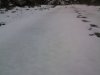 Foto0188.jpg