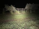 IMG_4758.jpeg