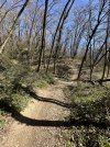 IMG_8908.jpeg
