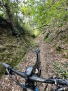 IMG_9722.jpeg