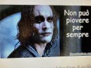 IMG_8862.jpeg