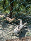 IMG_8677.jpeg