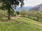 IMG_8913.jpeg