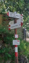 20230617_104729.jpg