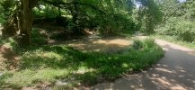 20230617_110431.jpg