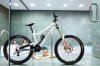 Test_Sunn_001_b_L.jpg