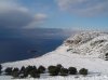 DSC01425.jpg