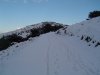 DSC01429.jpg
