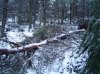 DSC01435.jpg