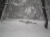 DSC01436.jpg