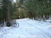 DSC00542.jpg