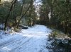 DSC00545.jpg