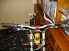 DSC01334.jpg