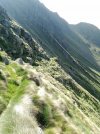 IMG_20230625_090604_426.jpg