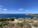 IMG_9274.jpeg