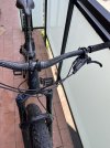 IMG_4956.jpeg