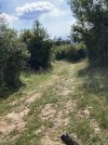 IMG_9467.jpeg