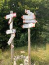 IMG_9459.jpeg
