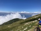 IMG_9409.jpeg