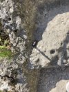 IMG_9737.jpeg
