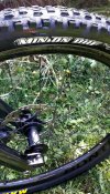 20230818_113951.jpg