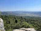 IMG-4798.jpg