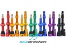 Valvole tubeless colorate coniche smontabili superlight Bike Direction