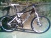 My BMC.jpg