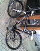 27-02-09_1251.jpg