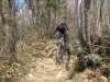 IMG_1199.jpg