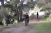 DSC_5686.jpg