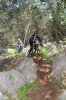 DSC_5720.jpg