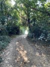 IMG_9958.jpeg