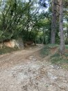 IMG_0316.jpeg