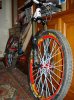 DSC00584.jpg