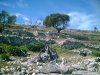 PICT0006.jpg