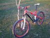 Immagine 287.jpg