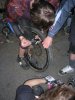 DSCN6470.jpg