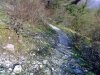 180320091867mod.jpg