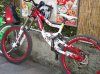 DSC02477.jpg